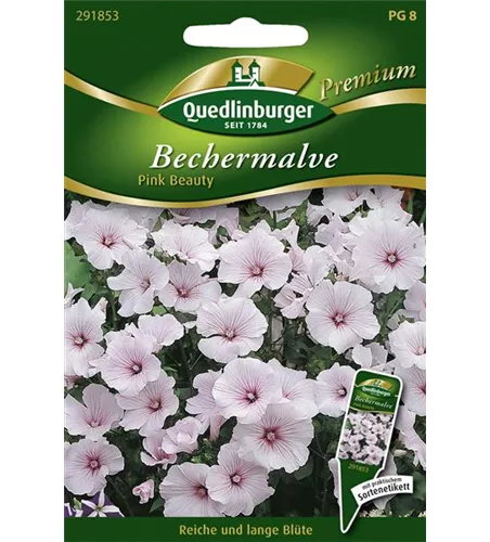 Bechermalvensamen 'Pink Beauty'