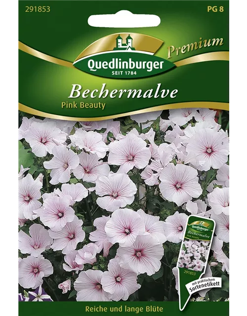 Bechermalvensamen 'Pink Beauty'