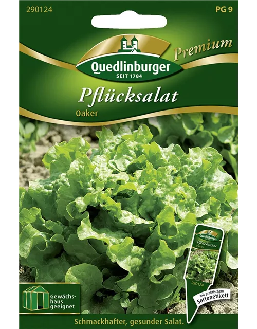 Eichblattsalatsamen 'Oaker'