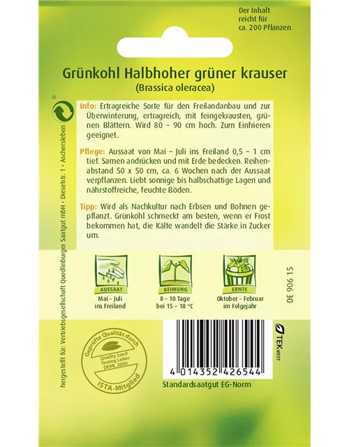 Grünkohlsamen 'Halbhoher Grüner Krauser'