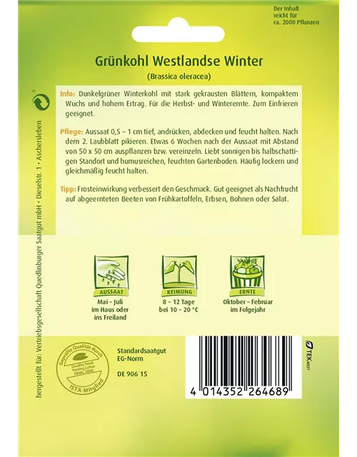 Grünkohlsamen 'Westerländer Winter'