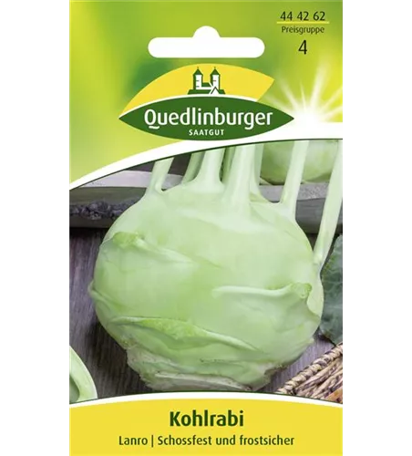 Kohlrabisamen 'Lanro'