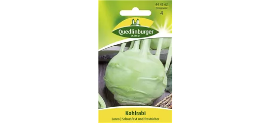 Kohlrabisamen 'Lanro'