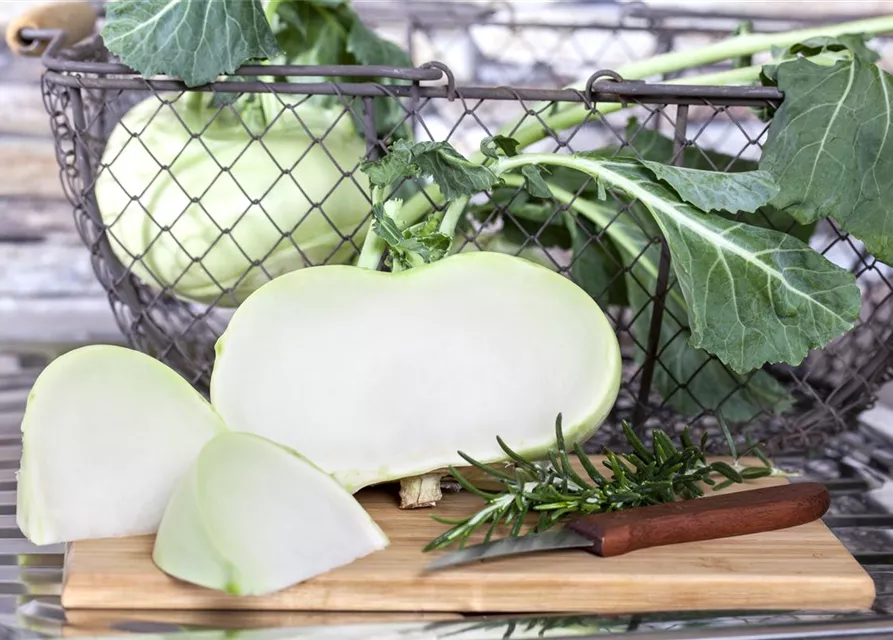 Kohlrabisamen 'Superschmelz'