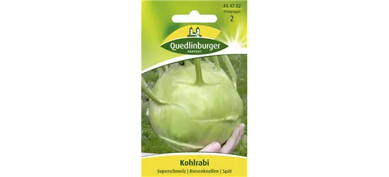 Kohlrabisamen 'Superschmelz'