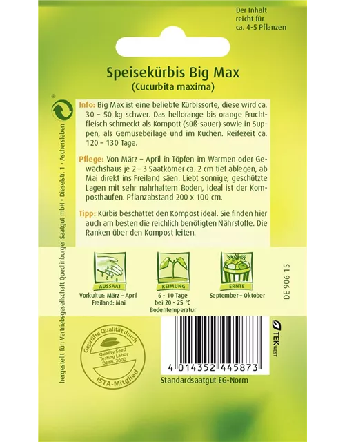 Kürbissamen 'Big Max'