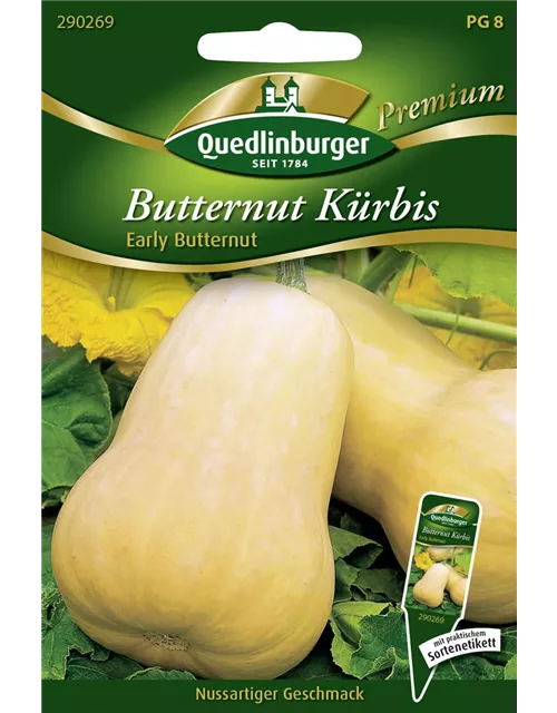 Kürbissamen 'Early Butter Nut F1'