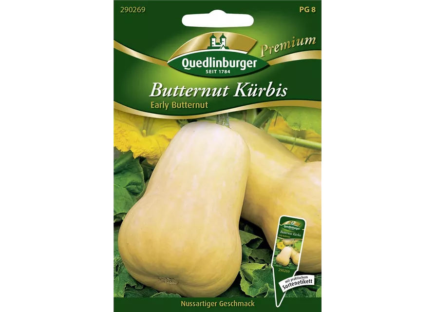 Kürbissamen 'Early Butter Nut F1'