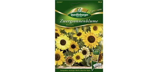 Sonnenblumensamen 'Ministars'