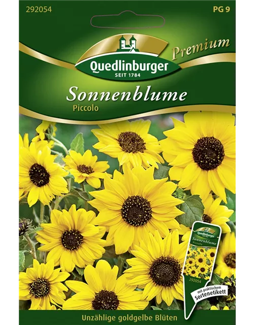 Sonnenblumensamen 'Piccolo'