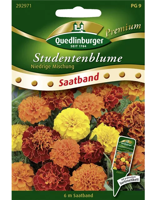 Studentenblumensamen 'Niedrige Mischung'