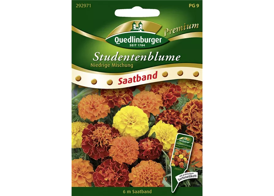 Studentenblumensamen 'Niedrige Mischung'