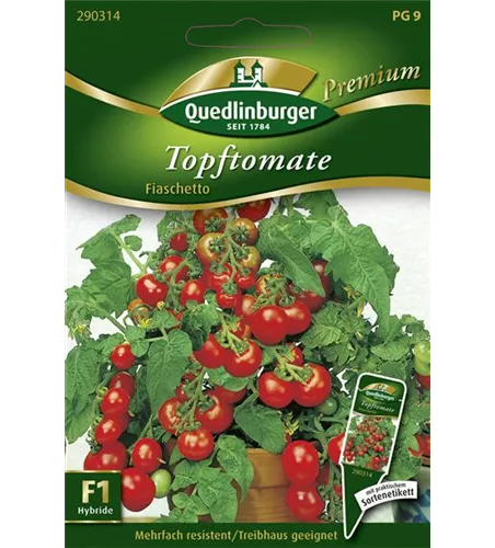 Tomatensamen 'Fiaschetto F1'