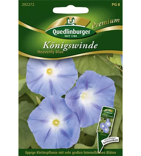 Trichterwindensamen 'Heavenly Blue'