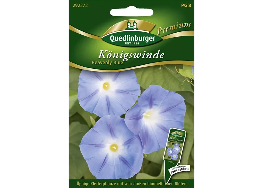 Trichterwindensamen 'Heavenly Blue'