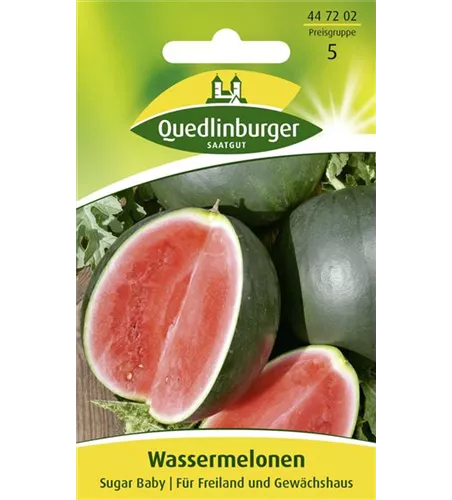 Wassermelonensamen 'Sugar Baby'