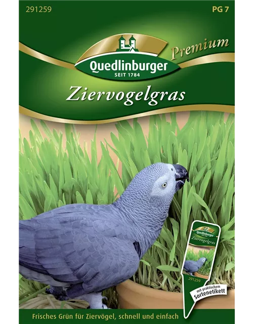 Ziervogelgrassamen