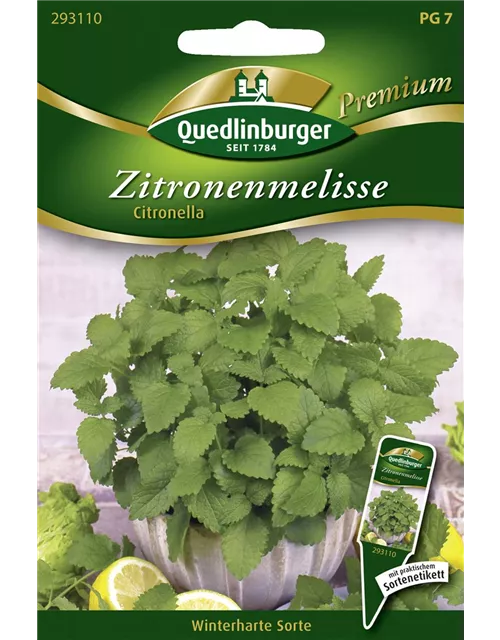 Zitronenmelissensamen 'Citronella'