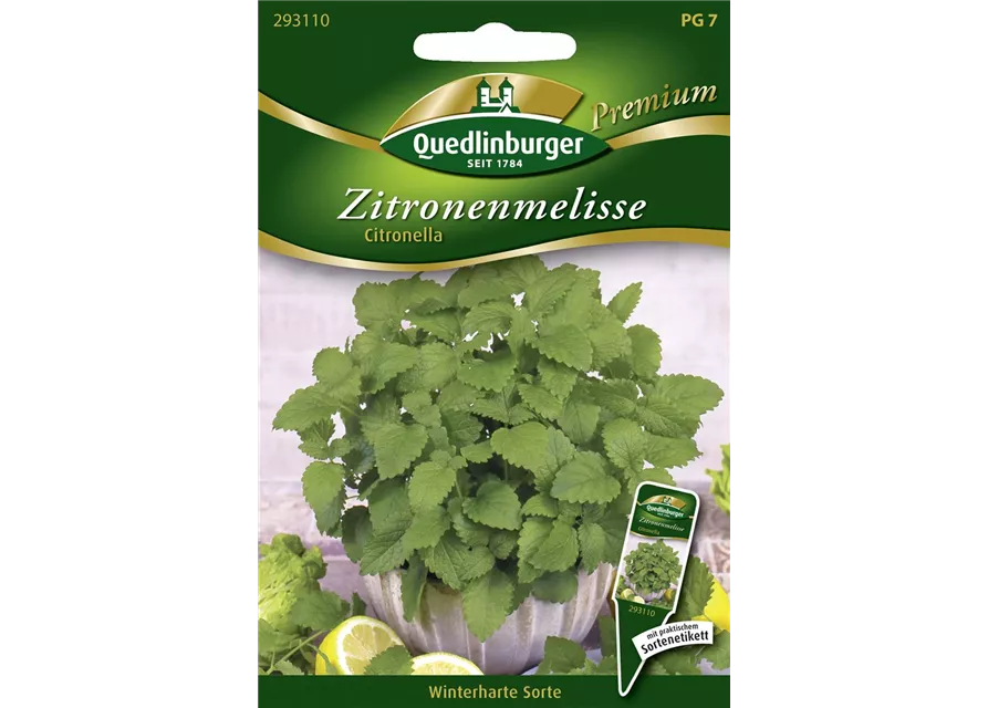 Zitronenmelissensamen 'Citronella'