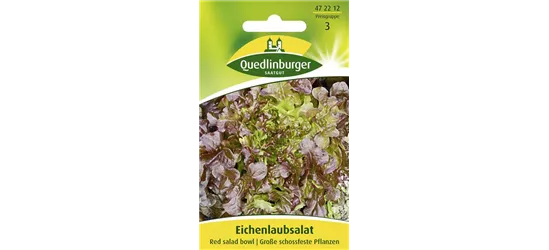 Eichblattsalatsamen 'Red Salad Bowl'