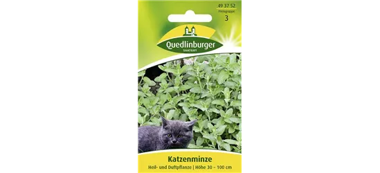 Gewöhnliche Katzenminze-Samen