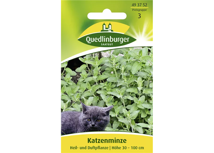 Gewöhnliche Katzenminze-Samen