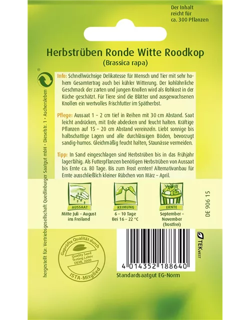 Herbstrübensamen 'Ronde Witte Roodkop'