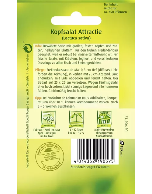 Kopfsalatsamen 'Attraktion'