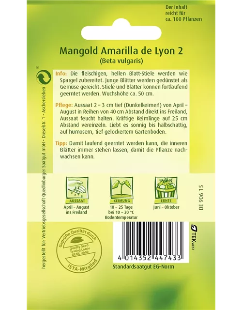 Mangoldsamen 'Amarilla de Lyon 2'