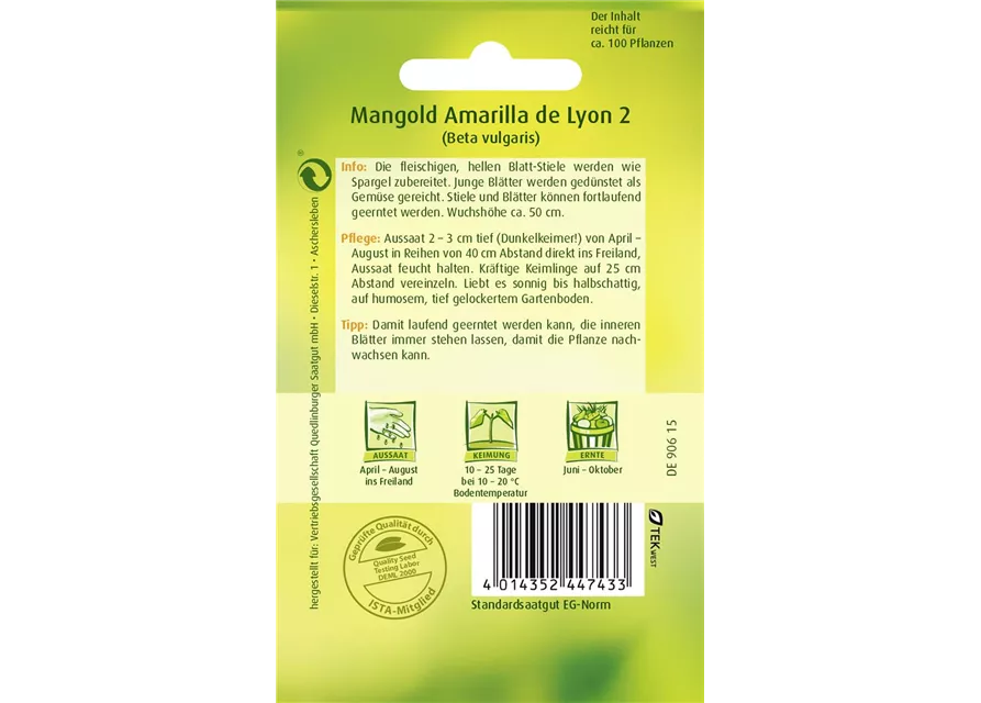 Mangoldsamen 'Amarilla de Lyon 2'