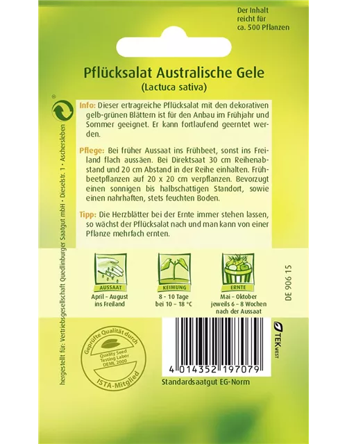 Pflücksalatsamen 'Australische Gele'