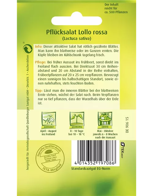 Pflücksalatsamen 'Lollo rosso'