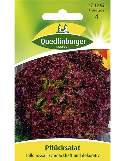 Pflücksalatsamen 'Lollo rosso'