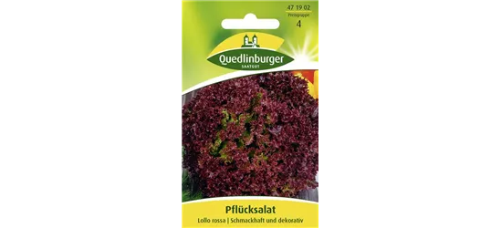 Pflücksalatsamen 'Lollo rosso'