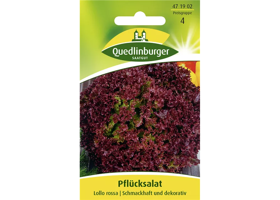 Pflücksalatsamen 'Lollo rosso'