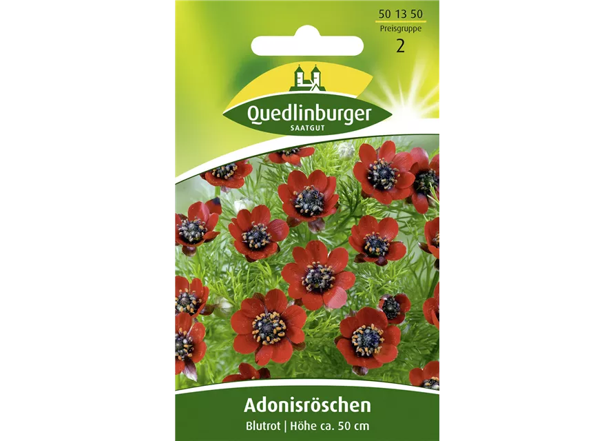 Adonisröschensamen 'Blutrot'