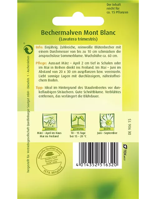 Bechermalvensamen 'Mont Blanc'