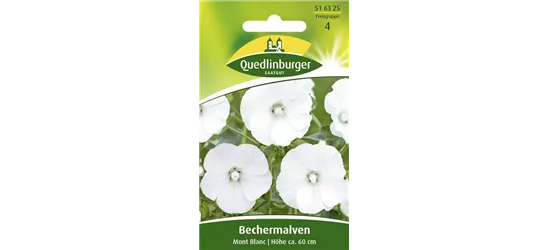 Bechermalvensamen 'Mont Blanc'