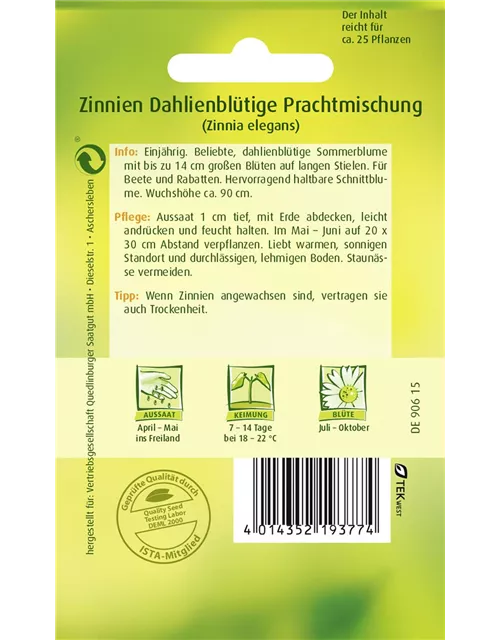 Dahlienblütige Zinnie-Samen