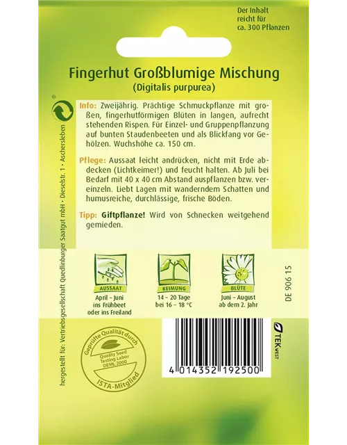 Fingerhutsamen 'Großblumige Mischung'