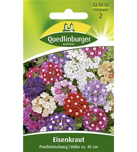 Eisenkrautsamen 'Prachtmischung'