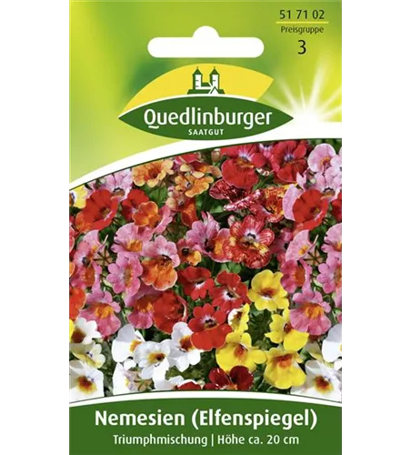 Elfenspiegelsamen 'Triumphmischung'