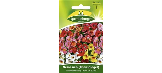 Elfenspiegelsamen 'Triumphmischung'