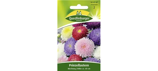 Gartenastersamen 'Prinzess'