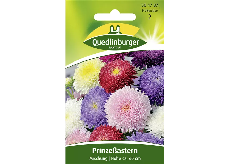 Gartenastersamen 'Prinzess'