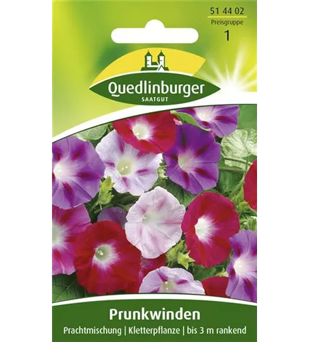 Prunkwindensamen 'Prachtmischung'