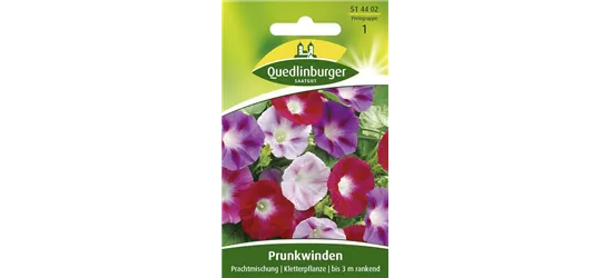 Prunkwindensamen 'Prachtmischung'