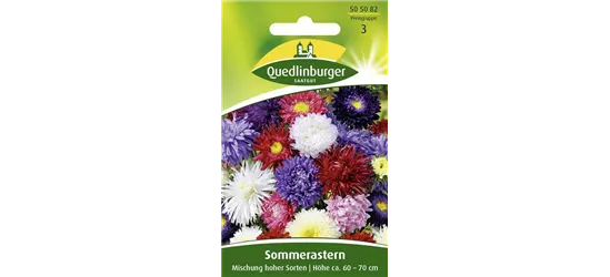 Sommerastersamen 'Hohe Sorten'