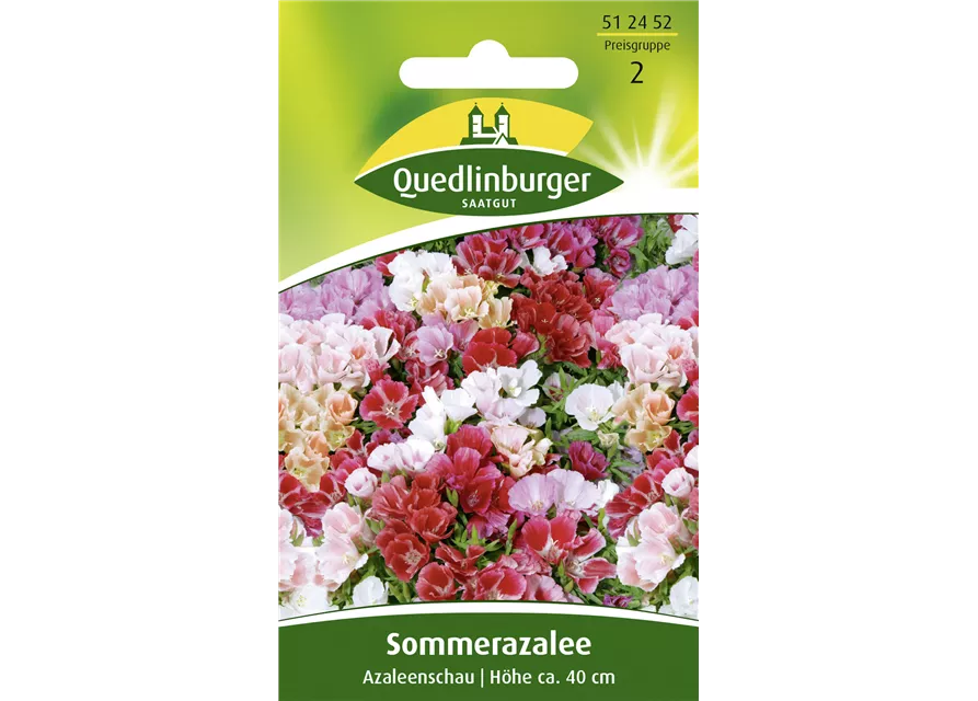 Sommerazaleensamen 'Azaleenschau'