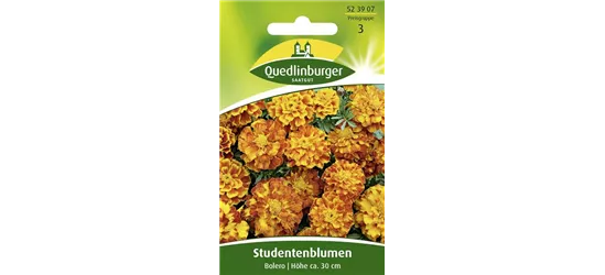 Studentenblumensamen 'Bolero'